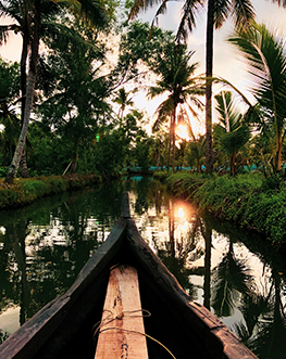 Luxury Golden Triangle with Kerala Backwater