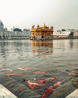 Golden Triangle Tour with Amritsar